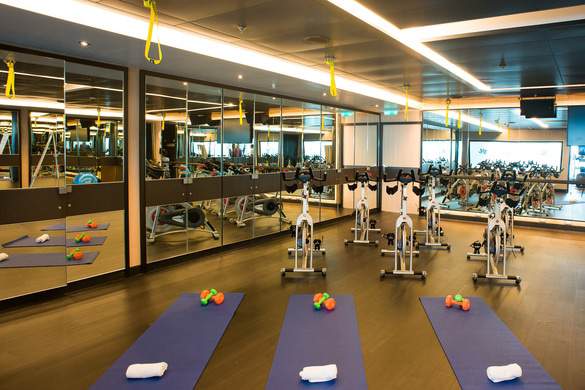 Princess Cruises Royal Class Interior fitness centre.jpg